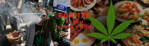 хмурый Абаза