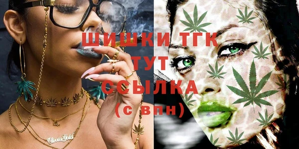 сатива Абинск