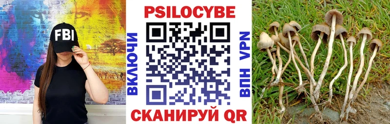 Псилоцибиновые грибы Psilocybine cubensis  KRAKEN ТОР  Котово  цена  